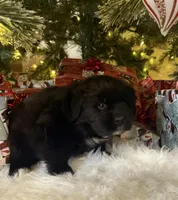 processed/fd92ecda-8ba0-4af8-bf8e-a7b43b07584e/listing/68ebcbc3-0f32-481c-a9a4-c8265b41accd/31661207-5cfa-4aed-9849-82fa9161d419