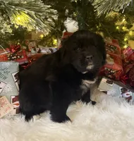 processed/fd92ecda-8ba0-4af8-bf8e-a7b43b07584e/listing/68ebcbc3-0f32-481c-a9a4-c8265b41accd/3423f430-2f48-4577-bc9b-5260dea01400