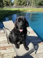 processed/fd92ecda-8ba0-4af8-bf8e-a7b43b07584e/listing/68ebcbc3-0f32-481c-a9a4-c8265b41accd/47b9ac30-9214-43b3-a8f4-c64e97a0abd4