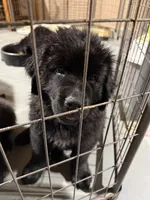 processed/fd92ecda-8ba0-4af8-bf8e-a7b43b07584e/listing/68ebcbc3-0f32-481c-a9a4-c8265b41accd/85eb2acf-6d74-47e2-8615-1c4ad5152303