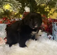 processed/fd92ecda-8ba0-4af8-bf8e-a7b43b07584e/listing/68ebcbc3-0f32-481c-a9a4-c8265b41accd/980be249-a98c-45a3-9c98-cc32b7c50e5f