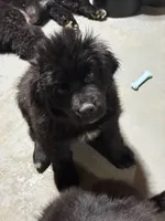 processed/fd92ecda-8ba0-4af8-bf8e-a7b43b07584e/listing/68ebcbc3-0f32-481c-a9a4-c8265b41accd/c14f66d3-9006-41e5-a653-8eccce7e41a2