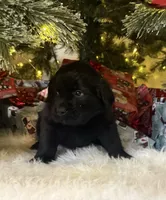 processed/fd92ecda-8ba0-4af8-bf8e-a7b43b07584e/listing/a28ad784-853b-4b97-b98c-8501c933fb79/1493924b-c493-43c2-a7bf-9f8351ccdd0d