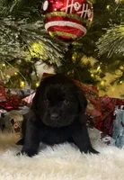 processed/fd92ecda-8ba0-4af8-bf8e-a7b43b07584e/listing/a28ad784-853b-4b97-b98c-8501c933fb79/26c41e61-62d7-4ce3-ac5b-6b7d0e38ee2d