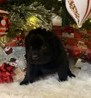 processed/fd92ecda-8ba0-4af8-bf8e-a7b43b07584e/listing/a28ad784-853b-4b97-b98c-8501c933fb79/525fd958-f4e1-4d02-801f-ff7457146f4b