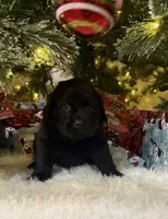 processed/fd92ecda-8ba0-4af8-bf8e-a7b43b07584e/listing/a28ad784-853b-4b97-b98c-8501c933fb79/831d2d05-d003-44d3-bd81-df428ad4f677