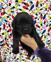 processed/fd92ecda-8ba0-4af8-bf8e-a7b43b07584e/listing/a28ad784-853b-4b97-b98c-8501c933fb79/89839f09-83fe-4a8b-8c5d-388b7c979a30