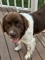 processed/fd92ecda-8ba0-4af8-bf8e-a7b43b07584e/listing/a28ad784-853b-4b97-b98c-8501c933fb79/9925511b-a249-4591-ad92-026d85c5f00a