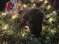 processed/fd92ecda-8ba0-4af8-bf8e-a7b43b07584e/listing/a28ad784-853b-4b97-b98c-8501c933fb79/ed53e184-a48b-4413-92c6-99c257dfef2f