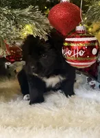 processed/fd92ecda-8ba0-4af8-bf8e-a7b43b07584e/listing/fcae6f35-43df-4d16-84a6-7d314d663f7a/04d354e9-6d13-42ef-8d3b-3ccf32a9444a