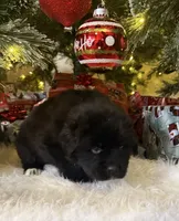 processed/fd92ecda-8ba0-4af8-bf8e-a7b43b07584e/listing/fcae6f35-43df-4d16-84a6-7d314d663f7a/4ebc59cb-8617-4e9e-8c3d-ea84e9792aa5