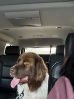 processed/fd92ecda-8ba0-4af8-bf8e-a7b43b07584e/listing/fcae6f35-43df-4d16-84a6-7d314d663f7a/53402b46-e852-4b6f-9b71-eefc3f2ac589