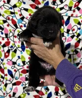 processed/fd92ecda-8ba0-4af8-bf8e-a7b43b07584e/listing/fcae6f35-43df-4d16-84a6-7d314d663f7a/a4db8b72-b285-473b-a3a4-47a514bcab5b