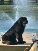 processed/fd92ecda-8ba0-4af8-bf8e-a7b43b07584e/listing/fcae6f35-43df-4d16-84a6-7d314d663f7a/a6cd9113-a53b-4848-ae99-c035836cf3d9