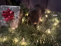 processed/fd92ecda-8ba0-4af8-bf8e-a7b43b07584e/listing/fcae6f35-43df-4d16-84a6-7d314d663f7a/be79734f-48ae-4c5f-8da4-7fc2673ad3b6