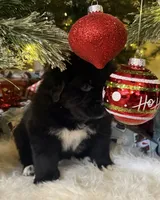 processed/fd92ecda-8ba0-4af8-bf8e-a7b43b07584e/listing/fcae6f35-43df-4d16-84a6-7d314d663f7a/c6b08b19-8294-492a-80ca-dea68e570ec3