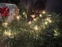 processed/fd92ecda-8ba0-4af8-bf8e-a7b43b07584e/listing/fcae6f35-43df-4d16-84a6-7d314d663f7a/de0f9e40-dee2-49c6-a058-723b8b0769c0