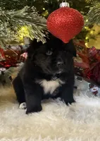 processed/fd92ecda-8ba0-4af8-bf8e-a7b43b07584e/listing/fcae6f35-43df-4d16-84a6-7d314d663f7a/e5e0b36f-6b38-4e74-8b8b-0f1fd51316c7