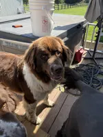 processed/fd92ecda-8ba0-4af8-bf8e-a7b43b07584e/listing/febc1beb-622f-463d-8b78-3f4313a91559/15e5b4d6-72e2-4797-9fb5-b627f082b25e