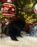 processed/fd92ecda-8ba0-4af8-bf8e-a7b43b07584e/listing/febc1beb-622f-463d-8b78-3f4313a91559/330ff297-e6ff-40df-8d97-125bb7c1e631