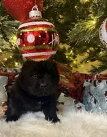 processed/fd92ecda-8ba0-4af8-bf8e-a7b43b07584e/listing/febc1beb-622f-463d-8b78-3f4313a91559/6779674d-ca51-4e23-bb8a-065757ba0b72