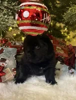 processed/fd92ecda-8ba0-4af8-bf8e-a7b43b07584e/listing/febc1beb-622f-463d-8b78-3f4313a91559/6d71a5ea-6b60-4f55-8928-62ceb637debe