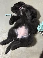 processed/fd92ecda-8ba0-4af8-bf8e-a7b43b07584e/listing/febc1beb-622f-463d-8b78-3f4313a91559/7b17acc4-dd97-4747-a769-90f56e8d45e2