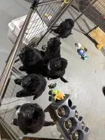 processed/fd92ecda-8ba0-4af8-bf8e-a7b43b07584e/listing/febc1beb-622f-463d-8b78-3f4313a91559/b1a0a2e2-bfdd-41bd-8a58-00307f8a367f