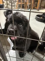 processed/fd92ecda-8ba0-4af8-bf8e-a7b43b07584e/listing/febc1beb-622f-463d-8b78-3f4313a91559/d442ccdb-5d63-4b87-88e2-5f0352af7ca4