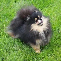 processed/fd9805f2-b1e4-41ae-8423-7e031898b6cc/facility/0ee7b840-4788-4a73-b204-76a96a129121