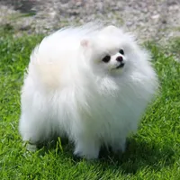 processed/fd9805f2-b1e4-41ae-8423-7e031898b6cc/facility/11198cbf-2e7d-416d-b1e7-18f107c5e917