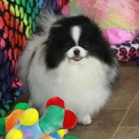 processed/fd9805f2-b1e4-41ae-8423-7e031898b6cc/facility/17833d96-a8ca-49e8-9863-edf630b7d30b