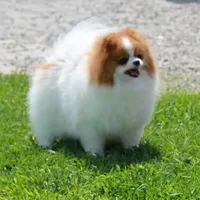 processed/fd9805f2-b1e4-41ae-8423-7e031898b6cc/facility/37565a53-be9b-4a2c-8ad8-903820ecd60f