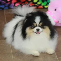 processed/fd9805f2-b1e4-41ae-8423-7e031898b6cc/facility/42ef2387-0c91-4dff-b1c3-ebe6eb8256eb