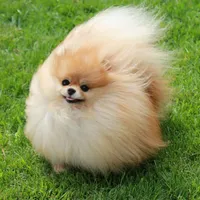 processed/fd9805f2-b1e4-41ae-8423-7e031898b6cc/facility/4b847f96-314a-4ae9-b47d-0ae45f73dfb4