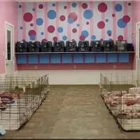 processed/fd9805f2-b1e4-41ae-8423-7e031898b6cc/facility/6451baa4-b0e9-46ab-98a2-cb65fbce5b1a