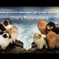 processed/fd9805f2-b1e4-41ae-8423-7e031898b6cc/facility/d9928815-6888-447a-96f7-c97031882c09