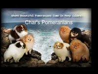 processed/fd9805f2-b1e4-41ae-8423-7e031898b6cc/facility/d9928815-6888-447a-96f7-c97031882c09