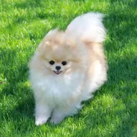 processed/fd9805f2-b1e4-41ae-8423-7e031898b6cc/facility/fd34b098-96bd-41a8-82cb-ee03fc09175f