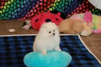 processed/fd9805f2-b1e4-41ae-8423-7e031898b6cc/listing/6b3ea00d-c77e-432d-92f2-1ff66739e19c/0719c697-b80a-4d94-9564-5fd4e3fd7555