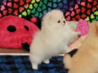 processed/fd9805f2-b1e4-41ae-8423-7e031898b6cc/listing/6b3ea00d-c77e-432d-92f2-1ff66739e19c/e76fb57a-15f4-405b-b87f-f5228f80109b