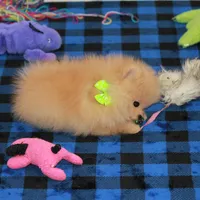 Adius, a male Pomeranian for sale in Bark River, MI – Photo 1 of 6