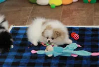 processed/fd9805f2-b1e4-41ae-8423-7e031898b6cc/listing/f2a2d398-6e0d-4304-a795-466ddd6973cb/5c0547a9-c4d9-4ae9-9e2f-e2ff305fde12