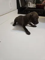 processed/fdab6277-8319-4f5d-bb2a-816307ded37c/listing/01b28e68-5469-4d0f-8e2b-9227cca83ad3/69d44e19-348b-4664-bf78-06b07b4ae2a5