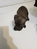 processed/fdab6277-8319-4f5d-bb2a-816307ded37c/listing/01b28e68-5469-4d0f-8e2b-9227cca83ad3/6af87694-8c34-4999-878c-0e1921d0f152