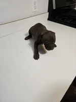 processed/fdab6277-8319-4f5d-bb2a-816307ded37c/listing/01b28e68-5469-4d0f-8e2b-9227cca83ad3/87e65fcc-8953-427b-818a-22aae9eaa409