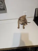 processed/fdab6277-8319-4f5d-bb2a-816307ded37c/listing/0dfcb990-734a-46e6-9e45-4bc68e83a140/4b1b4e0d-fb2b-4d91-b7a5-83e056a1c32b