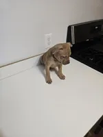 processed/fdab6277-8319-4f5d-bb2a-816307ded37c/listing/0dfcb990-734a-46e6-9e45-4bc68e83a140/ae467094-135d-4fa6-84c9-efdae389179a