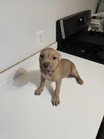 processed/fdab6277-8319-4f5d-bb2a-816307ded37c/listing/0dfcb990-734a-46e6-9e45-4bc68e83a140/bd66cf7a-9ac4-40c1-90f4-ded284c376fb