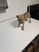 processed/fdab6277-8319-4f5d-bb2a-816307ded37c/listing/0dfcb990-734a-46e6-9e45-4bc68e83a140/fe2ede87-2b08-4b4e-a841-d1bf40891c68